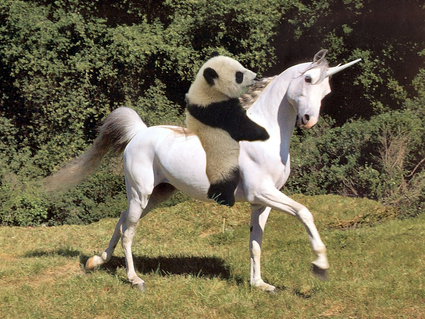 panda-on-a-unicorn.jpg